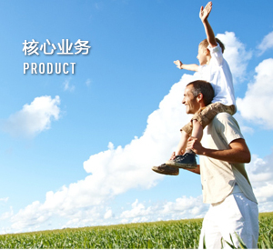 核心業務